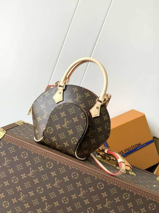 Picture of Louis Vuitton Handbags _SKUfw233562241fw